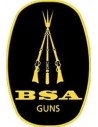 BSA
